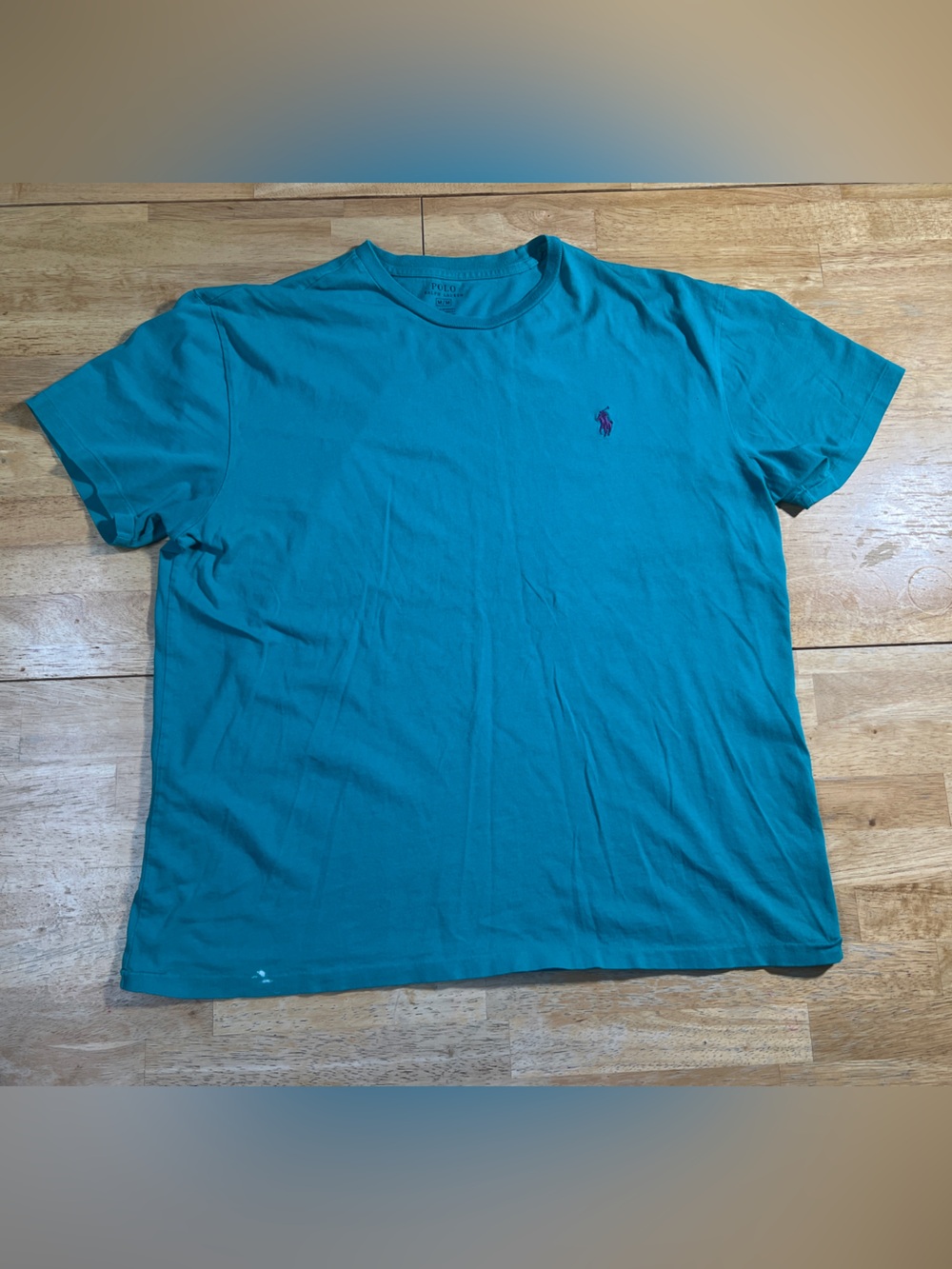 Polo Ralph Lauren T Shirt Mens Medium M Turquoise Aqua Blue Purple Pony Crewneck